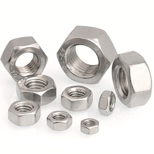 Stainless Steel Nuts
