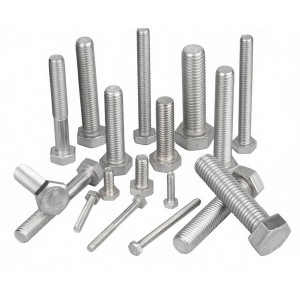Stainless Steel Bolts